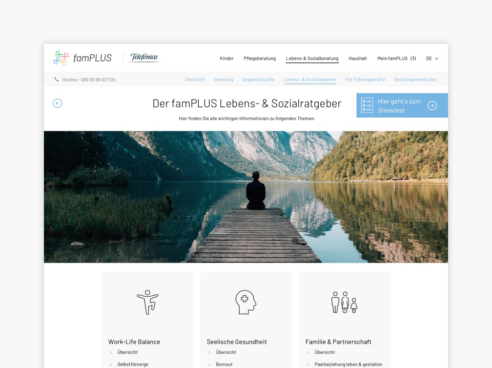 Lebenslagen-Coaching Ratgeber